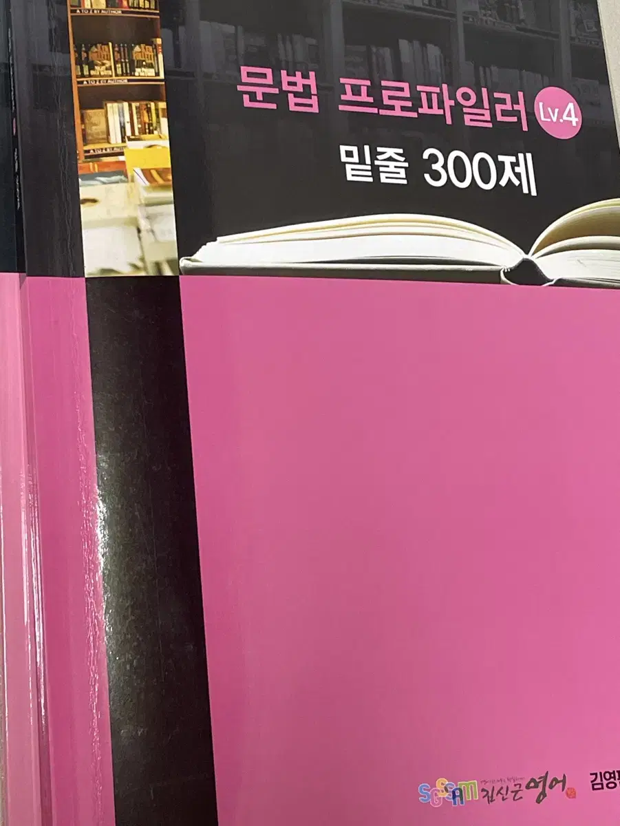 김신근 문법 프로파일러 밑줄 300제